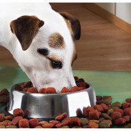 Castron Metalic pentru hranire animale de companie - 29cm - Img 1
