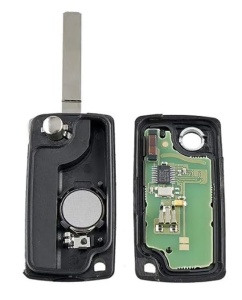 Cheie completa desfacuta cu cip si placa electronica
