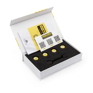 kit monitorizare presiune anvelope BLE TPMS pentru masina
