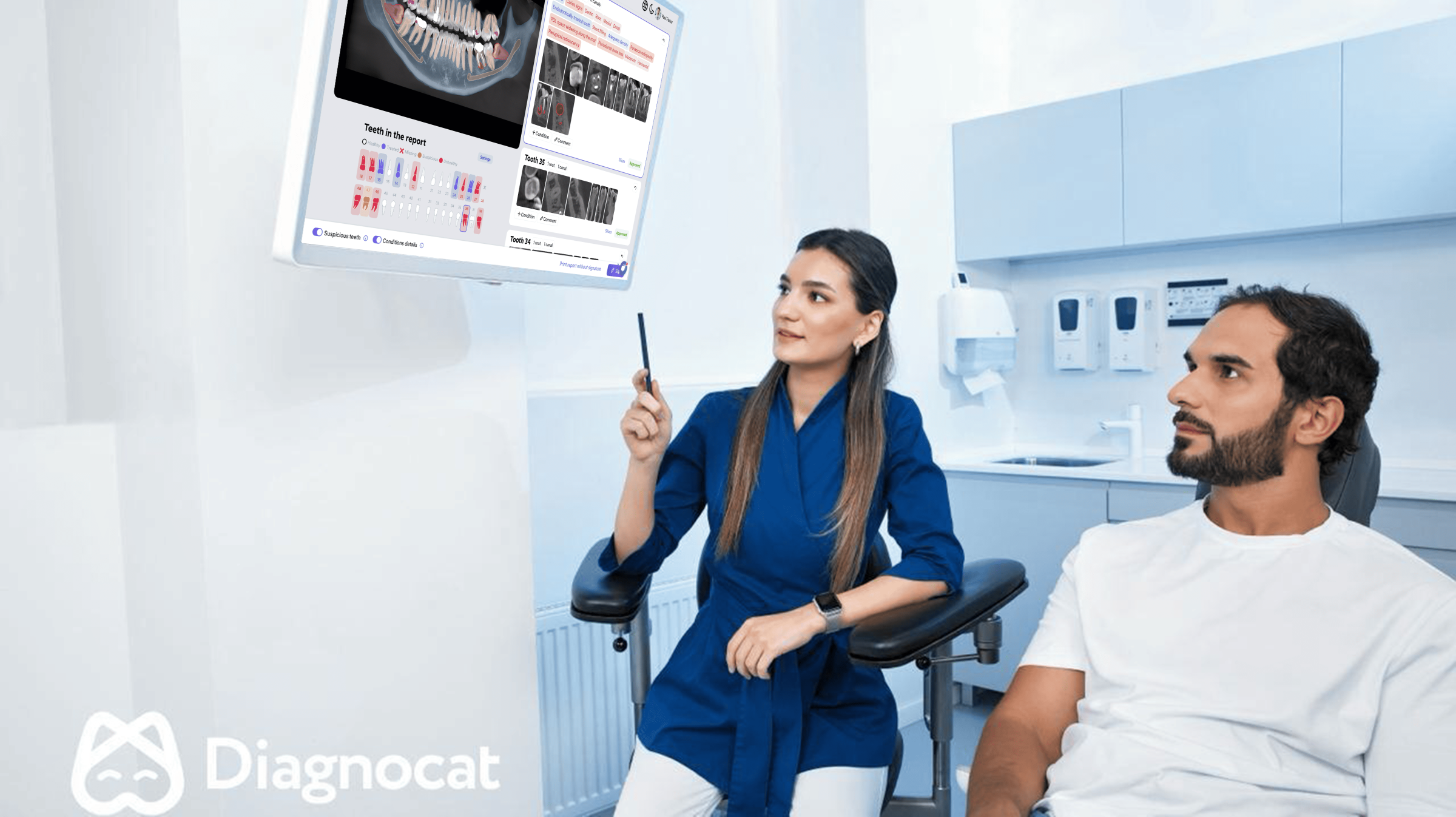 Diagnocat Interface 2