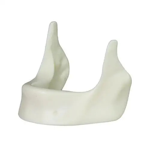 Modele mandibulare pentru implant dentar - Img 3