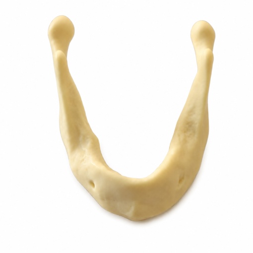Modele mandibulare pentru implant dentar - Img 4