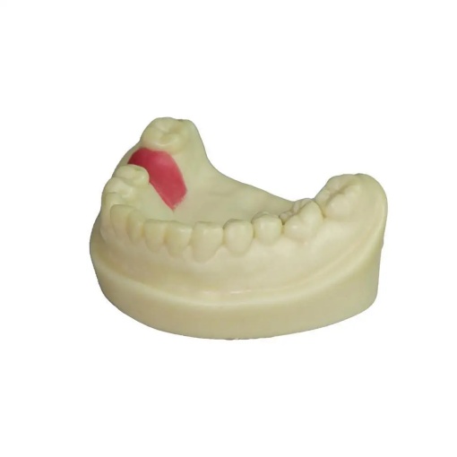 Modele pentru implant dentar - Img 8