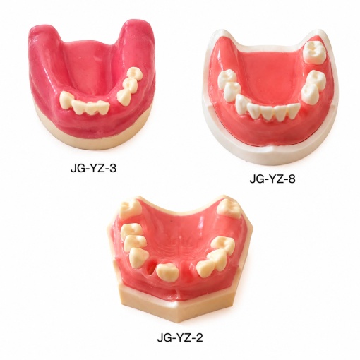 Modele pentru implant dentar - Img 11