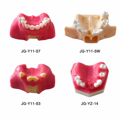 Modele dentare pentru ridicarea sinusului - Img 11