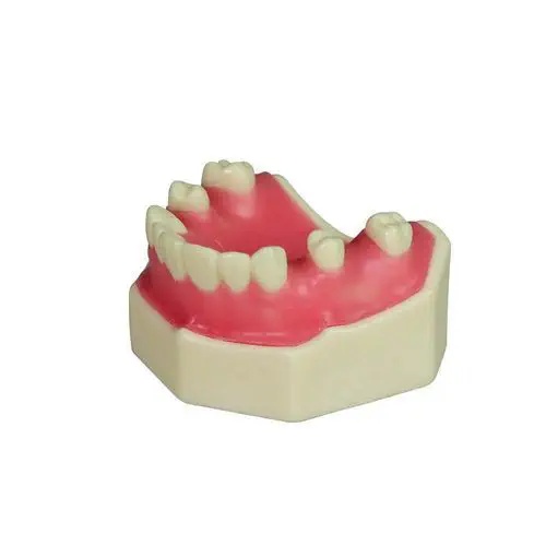 Modele dentare pentru ridicarea sinusului - Img 9
