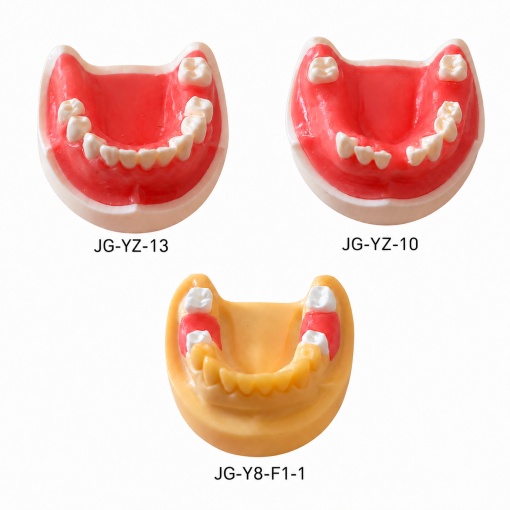 Modele pentru implant dentar - Img 12