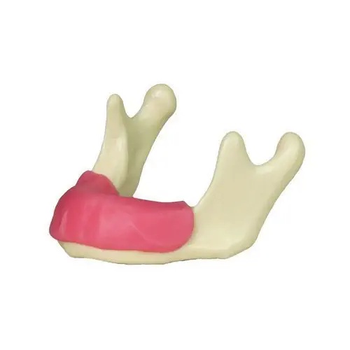 Modele mandibulare pentru implant dentar - Img 2