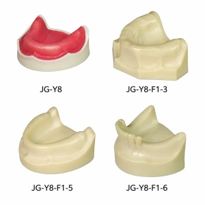 Modele pentru implant dentar