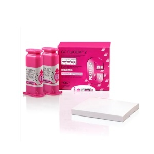 Fujicem2 Refill 2 Paste Pack 2 x 13.3g GC