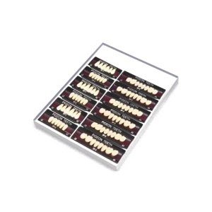 Dinti artificiali acrilat Pigeon SP2 set complet