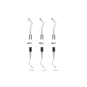 Spatula bucala