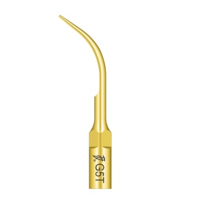 Ansa detartraj G5T tip EMS
