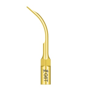 Ansa detartraj G6T tip EMS