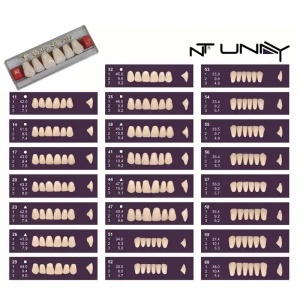Dinti artificiali in 2 straturi NT UNAY 28 bucati/set