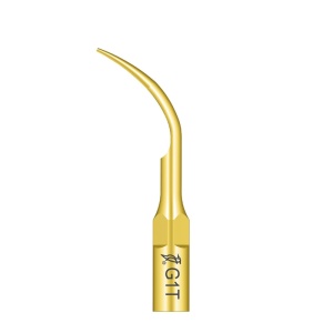 Ansa detartraj G1T tip EMS