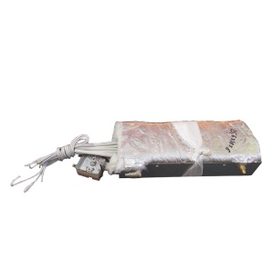 Generator aburi autoclav Woson 20x17x7cm (termostat inclus)