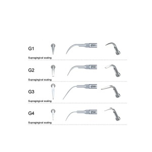 Ansa detartraj G3 tip EMS Woodpecker