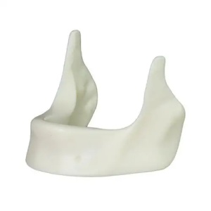 Modele mandibulare pentru implant dentar