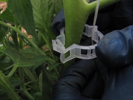 Cleme din plastic dur pentru sustinerea plantelor, 23 mm diametru - Img 4