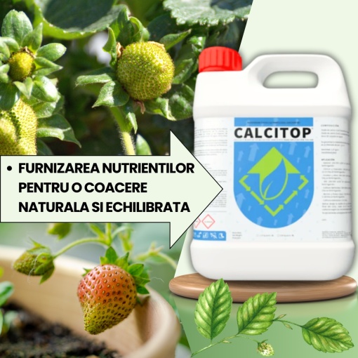 PACHET BIO Etapa 2 CAPSUNI - Stabilizarea Fructului, Crestere si Intensificare Culoare - Img 3