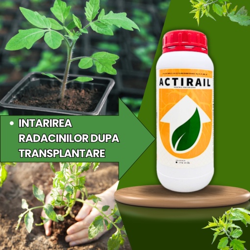 BIOPACK Etapa 1 ROSII - Transplant si Crestere – 700MP - Img 2