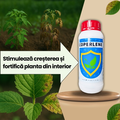 Kit Tratament BIO Coperlene + Equitron-S - Img 2