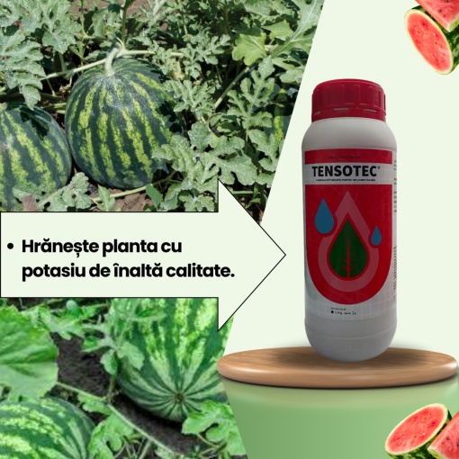 Pachet BIOPACK Etapa 1 Pepeni - Conditia Optima a Solului - Img 4