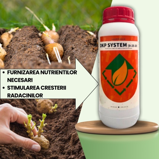 BIOPACK Etapa 1 CARTOFI - Dezvoltarea Radacinilor si Stimularea Cresterii - Img 3