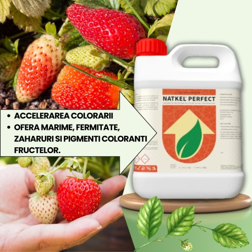 PACHET BIO Etapa 2 CAPSUNI - Stabilizarea Fructului, Crestere si Intensificare Culoare - Img 4