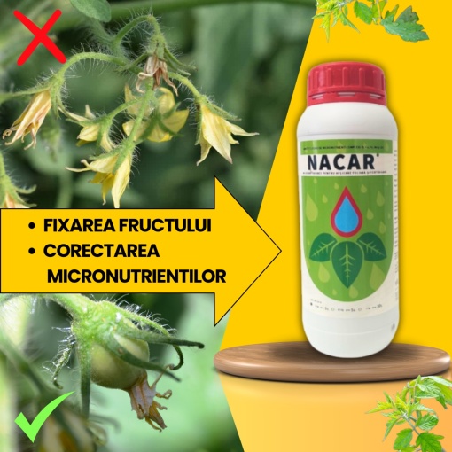 Pachet BIO Etapa 3 ROSII - Legarea Fructelor si Dezvoltare Timpurie - Img 2