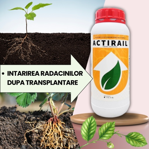Pachet BIO Etapa 1 Capsuni - Transplant, Crestere si Sporirea Productiei - Img 2