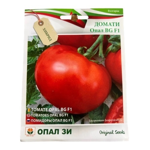 Seminte tomate OPAL BG F1 pentru cultivare pe suport - Img 2
