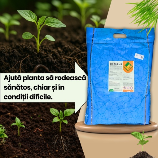 Set BIO pentru combaterea daunatorilor Ortitec + Bicasol K 1L + 1KG - Img 3
