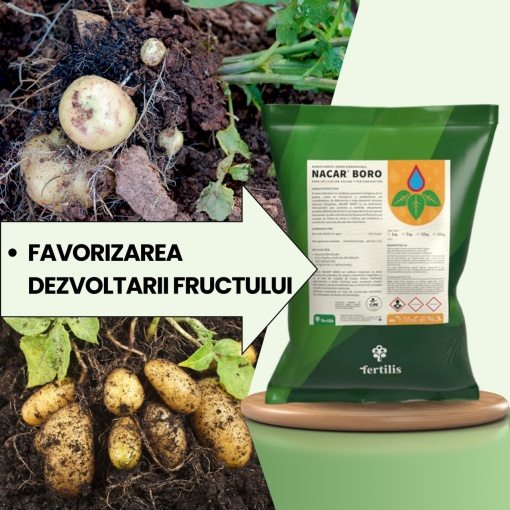 BIOPACK Etapa 2 CARTOFI - Corectarea carentelor nutritive si intarirea structurii celulare - Img 3