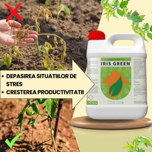 BIOPACK Etapa 2 ROSII - Sporirea Randamentului - Img 2