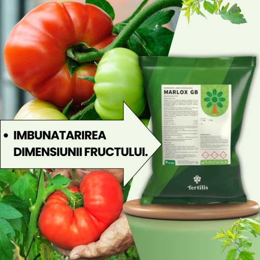 Pachet BIO Etapa 4 ROSII - Stimulare Crestere si Intensificare Coloratie Fructe - Img 2