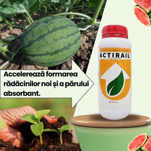 Pachet BIOPACK Etapa 1 Pepeni - Conditia Optima a Solului - Img 2