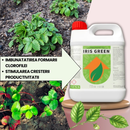 Pachet BIO Etapa 1 Capsuni - Transplant, Crestere si Sporirea Productiei - Img 3