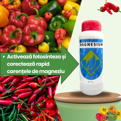BIOPACK Etapa 4 ARDEI – Coacere Omogena si Calitate Ridicata - Img 3