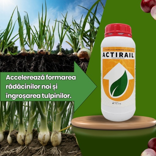 BIOPACK Faza 1 Ceapa - Pregatirea solului pana la aparitia bulbului - Img 4