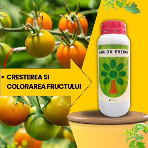 Pachet BIO Etapa 3 ROSII - Legarea Fructelor si Dezvoltare Timpurie - Img 4