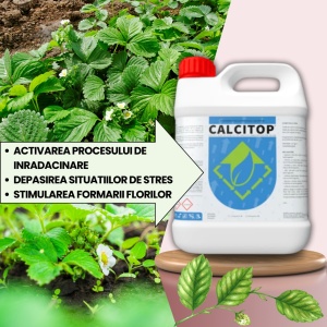 Pachet BIO Etapa 1 Capsuni - Transplant, Crestere si Sporirea Productiei - Img 4