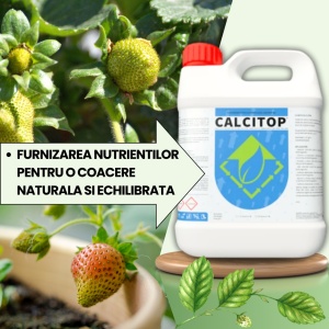 PACHET BIO Etapa 2 CAPSUNI - Stabilizarea Fructului, Crestere si Intensificare Culoare - Img 3
