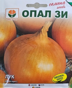 Seminte de CEAPA DENSITY, varietate galben auriu cu gust delicat