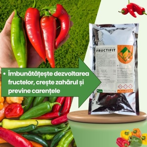 BIOPACK Etapa 4 ARDEI – Coacere Omogena si Calitate Ridicata - Img 4