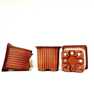 Ghivece patrate 8x8x7 cm, colturi rotunjite, material polipropilena