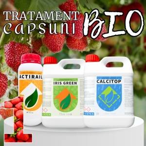Pachet BIO Etapa 1 Capsuni - Transplant, Crestere si Sporirea Productiei
