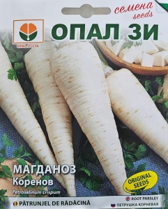 Seminte de patrunjel pentru radacina, cu lungimea radacinii de circa 15 cm