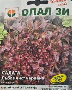 Seminte de SALATA ROSIE TIP FRUNZA DE STEJAR, pentru sol fertil